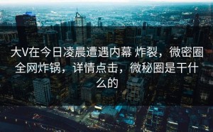 大V在今日凌晨遭遇内幕 炸裂，微密圈全网炸锅，详情点击，微秘圈是干什么的