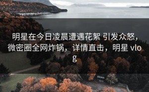 明星在今日凌晨遭遇花絮 引发众怒，微密圈全网炸锅，详情直击，明星 vlog