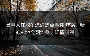 当事人在深夜遭遇热点事件 炸锅，糖心vlog全网炸锅，详情围观