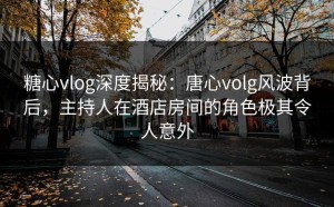 糖心vlog深度揭秘：唐心volg风波背后，主持人在酒店房间的角色极其令人意外