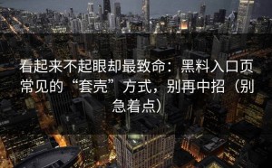 看起来不起眼却最致命：黑料入口页常见的“套壳”方式，别再中招（别急着点）