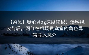 【紧急】糖心vlog深度揭秘：爆料风波背后，网红在机场贵宾室的角色异常令人意外