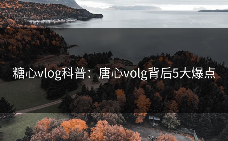 糖心vlog科普:唐心volg背后5大爆点 糖心vlog科普:唐心volg背后5大爆点