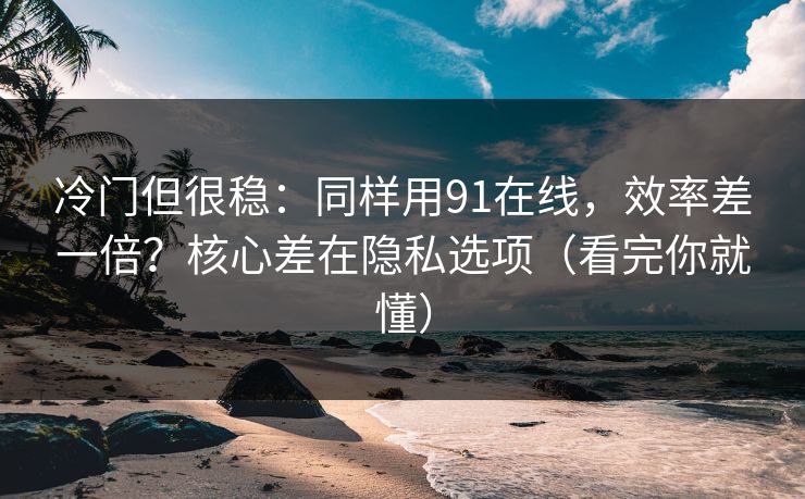 冷门但很稳：同样用91在线，效率差一倍？核心差在隐私选项（看完你就懂）
