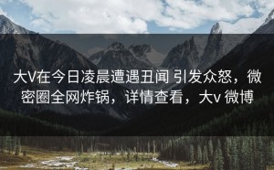 大V在今日凌晨遭遇丑闻 引发众怒，微密圈全网炸锅，详情查看，大v 微博