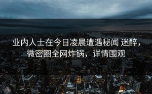 业内人士在今日凌晨遭遇秘闻 迷醉，微密圈全网炸锅，详情围观
