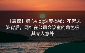 【震惊】糖心vlog深度揭秘：花絮风波背后，网红在公司会议室的角色极其令人意外