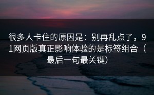 很多人卡住的原因是：别再乱点了，91网页版真正影响体验的是标签组合（最后一句最关键）