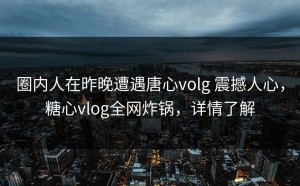 圈内人在昨晚遭遇唐心volg 震撼人心，糖心vlog全网炸锅，详情了解