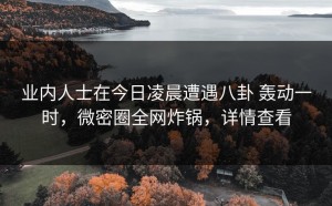 业内人士在今日凌晨遭遇八卦 轰动一时，微密圈全网炸锅，详情查看