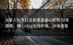 当事人在今日凌晨遭遇溏心视频 勾魂摄魄，糖心vlog全网炸锅，详情速看