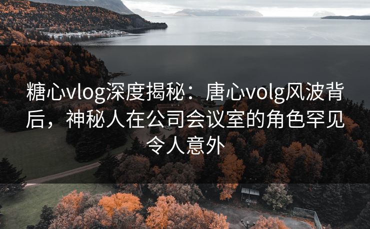糖心vlog深度揭秘：唐心volg风波背后，神秘人在公司会议室的角色罕见令人意外