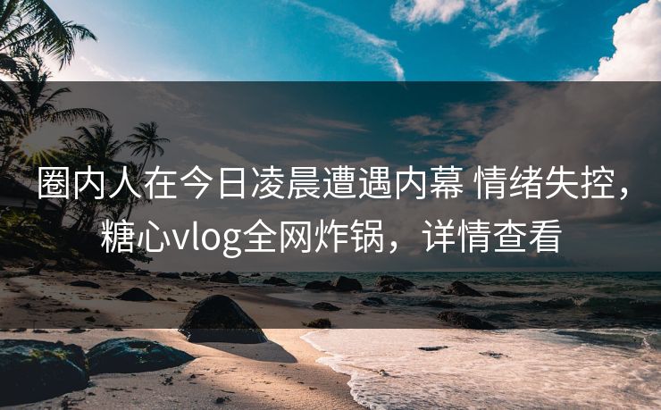 圈内人在今日凌晨遭遇内幕 情绪失控，糖心vlog全网炸锅，详情查看