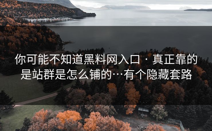 你可能不知道黑料网入口 · 真正靠的是站群是怎么铺的…有个隐藏套路